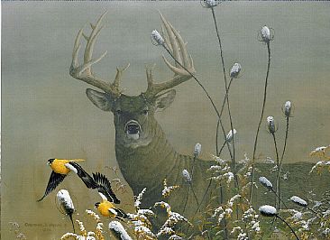 Passin' the Buck - Whitetail Buck and goldfinches by Christopher Walden